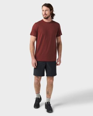 Men’s Alpin Lightweight Merino Tee SS