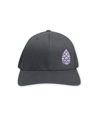 Whitebark Pinecone Trucker
