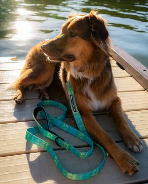Stio x Wilderdog Ultralight Printed Leash