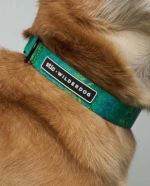 Stio x Wilderdog Ultralight Printed Collar