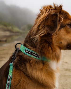 Stio x Wilderdog Ultralight Printed Collar