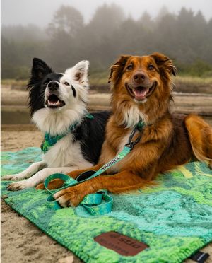 Stio x Wilderdog Sherpa Blanket – SM