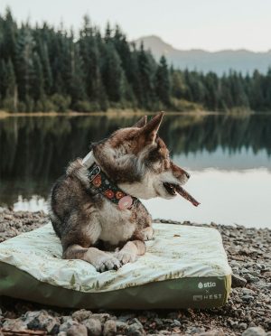 Stio x HEST Dog Bed – MD